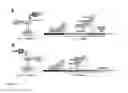 Fig. 20 - IN VIVO SITE-SPECIFIC PROTEIN TAGGING USING ENGINEERED SORTASE VARIANTS