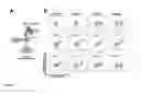 Fig. 22 - IN VIVO SITE-SPECIFIC PROTEIN TAGGING USING ENGINEERED SORTASE VARIANTS