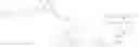 Fig. 08 - Labelled nucleotides