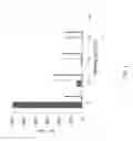 Fig. 02 - Bulk Allele Discrimination Assay