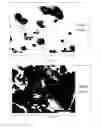 Fig. 02 - Methods for utilizing olefin coke in a steel making process and products made therefrom