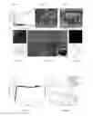 Fig. 07 - Evaporation-based method for manufacturing and recycling of metal matrix nanocomposites