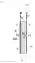 Fig. 02 - Membrane-electrode assembly, reactor comprising the membrane-electrode assembly and process for separating off hydrogen