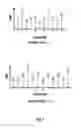 Fig. 04 - METHOD AND SYSTEM FOR MEASURING NON-DRILLING TIMES AND THEIR APPLICATION TO IMPROVE DRILLING UNIT EFFICIENCY