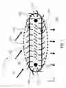 Fig. 02 - HYDRAULIC TURBINE