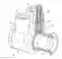 Fig. 01 - Pump with thermostatic relief valve