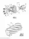 Fig. 02 - Gear tooth crowning arrangement
