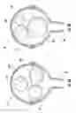 Fig. 06 - Multi-layered gas-filled bladder for accommodating changes in fluid characteristics within a fluid delivery system