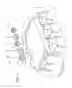 Fig. 02 - LIGHTING ARRANGEMENT
