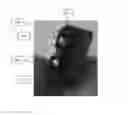 Fig. 01 - Diamond sight