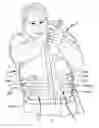 Fig. 01 - Ballistic-resistant garment having an incrementally adjustable fit