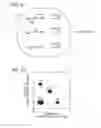 Fig. 06 - Multiplexed digital assays