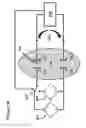 Fig. 52 - Electrochemically active agents for pH modulation in biological buffers