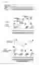 Fig. 02 - Method for analyzing activation state of signaling pathway and method for selecting personalized medicine using same