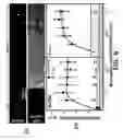 Fig. 07 - System for biodetection applications
