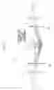 Fig. 02 - IMAGE-FORMING OPTICAL SYSTEM, ILLUMINATION APPARATUS, AND MICROSCOPE APPARATUS