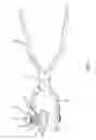 Fig. 02 - Two Part Clamp with Spring-Loaded and Rigid Portions