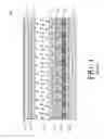 Fig. 02 - Method for forming an alignment layer of a liquid crystal display device and display device manufactured thereby