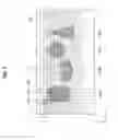 Fig. 08 - Method for manufacturing master, transfer copy, and replica master
