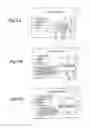 Fig. 09 - DISPLAYING REPRESENTATIVE IMAGES IN A VISUAL MAPPING SYSTEM