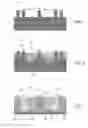 Fig. 02 - Gate-all-around fin device