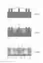 Fig. 02 - Gate-all-around fin device