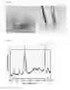 Fig. 02 - Piezoelectric element with sponge structure and method of manufacturing the same