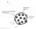 Fig. 01 - Anodes for lithium-ion devices