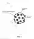 Fig. 04 - Anodes for lithium-ion devices