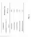 Fig. 04 - OXYGEN ELECTRODE AND A METHOD OF MANUFACTURING THE SAME