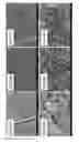 Fig. 30 - OXYGEN ELECTRODE AND A METHOD OF MANUFACTURING THE SAME