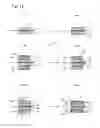 Fig. 13 - METHOD FOR MANUFACTURING ALL-SOLID-STATE BATTERY