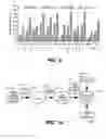 Fig. 08 - Tracing message transmissions between communicating network devices
