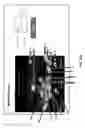 Fig. 44 - Masking restrictive access control system