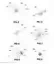 Fig. 05 - SYSTEM AND METHOD OF MOTION ESTIMATION FOR VIDEO CODING