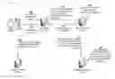 Fig. 01 - Identifying traffic associated with a content provider's toll-free data service campaign