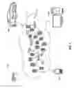 Fig. 02 - CONTROLLING COMMUNICATIONS FOR DRIVER CELL PHONE INTERACTIONS IN RESTRICTED AREAS