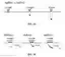 Fig. 46 - Compositions for inhibition of insect sensing