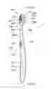Fig. 01 - Oral care implement and method of manufacturing an oral care implement