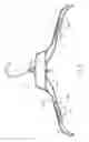 Fig. 06 - Garment hanger having under notches