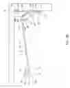 Fig. 28 - Valance system for window coverings