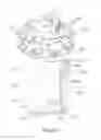 Fig. 11 - Vacuum cleaning apparatus