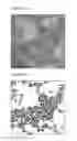 Fig. 07 - METHODS OF CONTROLLING THE MORPHOLOGY OF POLYMERIC NANOPARTICLES