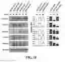 Fig. 06 - METHOD FOR REGULATING ALDEHYDE DEHYDROGENASE 1