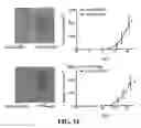 Fig. 07 - METHOD FOR REGULATING ALDEHYDE DEHYDROGENASE 1