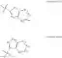 Fig. 11 - TREATMENT REGIMENS USING MULTIPLE PHARMACEUTICAL AGENTS