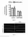 Fig. 06 - METHODS FOR TREATING NEUROMUSCULAR JUNCTION-RELATED DISEASES