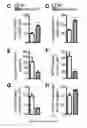 Fig. 09 - METHODS FOR TREATING NEUROMUSCULAR JUNCTION-RELATED DISEASES