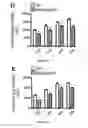 Fig. 22 - METHODS FOR TREATING NEUROMUSCULAR JUNCTION-RELATED DISEASES
