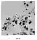Fig. 02 - Nanoparticle compositions and methods for treating onychomychosis
